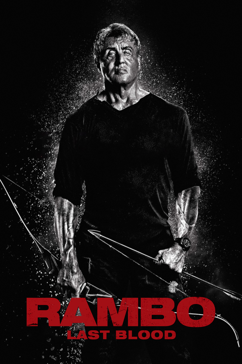 Rambo Last Blood (2019) [214038] (A1575069611) [[Movies]] --Plex--